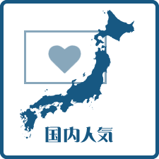 国内人気